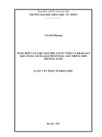 TỔNG HỢP VẬT LIỆU HẤP PHỤ CÓ TỪ TÍNH VÀ KHẢO SÁT KHẢ NĂNG TÁCH LOẠI PHẨM MÀU AZO TRONG MÔI TRƯỜNG NƯỚC (2)