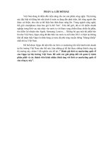 đánh giá thời cơ marketing quốc tế của oppo tại thị trường việt nam, đề xuất giải pháp hoàn thiện kênh phân phối