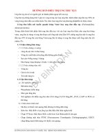 BDA huong dan dieu tri ung thu tuy 