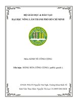 kinh tế công bài luận về chương 3 hàng hóa công