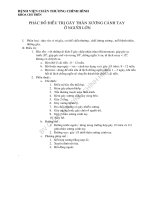 CTH gay than xuong canh tay o nguoi lon 