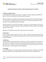 Easy Grammar  Phương pháp học ngữ pháp và từ vựng tiếng anh hiệu quả của ESL