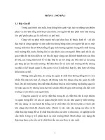 Tìm hiểu công tác  thu gom và xử lý chất thải rắn của công ty Cổ phần Dịch vụ Môi trường Bình Minh, quận Long Biên, thành phố Hà Nội