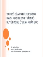 VAI TRÒ CỦA CATHETER ĐỘNG MẠCH PHỔI TRONG THĂM DÒ HUYẾT ĐỘNG Ở BỆNH NHÂN SỐC
