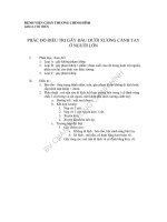 CTH gay dau duoi xuong canh tay o nguoi lon 