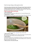 Cách trị mụn trứng cá đơn giản tại nhà