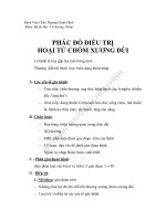 CTH hoai tu chom xuong dui 