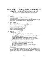 ND1 QD181 dat catheter ngoai mang cung de phau thuat va giam dau sau mo 