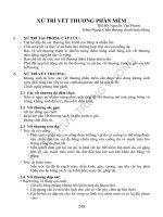 CCT 120 xu tri vet thuong phan mem 