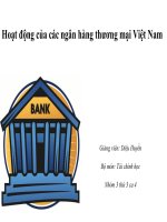 bài thảo luận hoạt động của ngân hàng thương mại việt nam