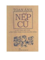 Nếp cũ tiết tháo một thời (NXB trẻ 2011)   toan ánh, 237 trang 