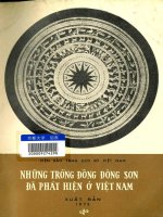 Những trống đồng đông sơn phát hiện ở việt nam   nguyễn văn huyên, 288 trang 