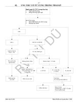 TUD ung thu  co tu cung trong thai ky 