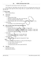 TUD viem am dao do nam 