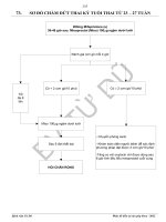 TUD so do cham dut thai ky tuoi thai tu 23 27 tuan 