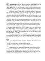 Đề cương Lý luận GD