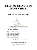 Giáo án: Thế Giới Thực Vật