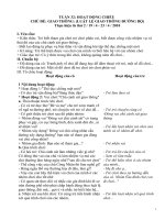 CHỦ ĐỀ: GIAO THÔNG: (LUẬT LỆ GIAO THÔNG ĐƯỜNG BỘ)