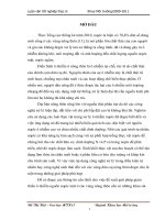 Nghiên cứu, đề xuất biện pháp giảm thiểu ô nhiễm nước mặt tại một số khu vực nông thôn tỉnh bắc ninh bằng thực vật thủy sinh