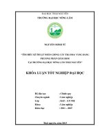 Tìm hiểu kĩ thuật nhân giống cây trà hoa vàng bằng phương pháp giâm hom tại trường đại học nông lâm thái nguyên 