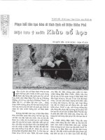 Phục hồi, tôn tạo khu di tích lịch sử Điện Biên Phủ, một lưu ý mới: Khảo cổ học