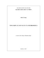 Đề tài Tổng hợp các dẫn xuất của pichromene 1