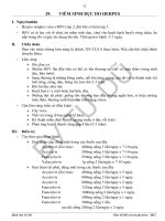 TUD viem sinh duc do herpes 