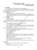 CCT 061 con dau quan than 