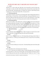 BDA huong dan dieu tri va theo doi chan thuong than 