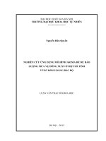 NGHIÊN CỨU ỨNG DỤNG MÔ HÌNH ARIMA ĐỂ DỰ BÁO LƯỢNG MƯA VỤ ĐÔNG XUÂN Ở MỘT SỐ TỈNH VÙNG ĐỒNG BẰNG BẮC BỘ