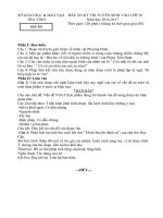 đáp án đề thi tuyển sinh vào lớp 10 trà vinh