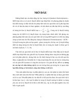vận dụng cách khử phân kỳ tử ngoại bằng cách điều chỉnh thứ nguyên của hạt ảo trong gần đúng một vòng kín