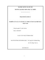 NGHIÊN CỨU SỰ LƯU HÀNH CỦA VIRUS CÚM B TẠI MIỀN BẮC VIỆT NAM