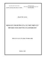 KHẢO SÁT ẢNH HƯỞNG CỦA CẤU TRÚC ĐIỆN CỰC ĐẾN KHẢ NĂNG ĐÁP ỨNG CỦA SENSOR OXY
