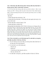 Câu hỏi luật Thương mại