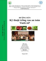 HƯỚNG DẤN KĨ THUẬT TRỒNG RAU AN TOÀN VIỆTGAP
