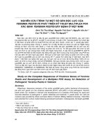 NGHIÊN CỨU TRÌNH TỰ MỘT SỐ GEN ĐỘC LỰC CỦA YERSINIA PESTIS VÀ PHÁT TRIỂN KỸ THUẬT MULTIPLEX PCR XÁC ĐỊNH YERSINIA PESTIS GÂY BỆNH Ở VIỆT NAM