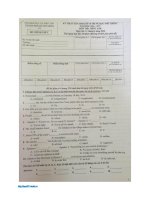 Đáp án chính thức đề thi vào lớp 10 THPT môn Tiếng Anh TP. Hồ Chí Minh 2016-2017