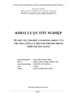 Tìm hiểu learning object và việt hóa công cụ reload editor trong thiết kế bài giảng 