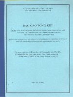 Xây Dựng Mô Hình Trồng Chè Thâm Canh Bằng Giống Mới, Kết Hợp Với Chế Độ Canh Tác Cải Tiến Tại Huyện Phù Ninh Và Thanh Ba, Tỉnh Phú Thọ