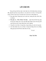 Các kỹ thuật kiểm thử đột biến và ứng dụng kiểm thử chương trình c 