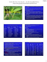 tài liệu Cây đậu tương
