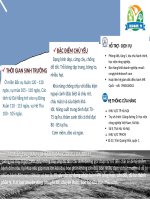 phương pháp khuyến nông   tờ rơi