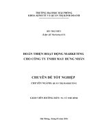 HOÀN THIỆN HOẠT ĐỘNG MARKETING CHO CÔNG TY TNHH MAY HƯNG NHÂN 