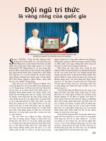 Văn hiến việt nam 2011 08 