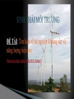 sinh thái môi trường: tìm hiểu về tài nguyên khoáng sản và năng lượng hiện nay