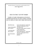BÁO CÁO THỰC TẬP TỐT NGHIỆP: NGHIÊN CỨU BIẾN TÍNH KHOÁNG SÉT BẰNG 8 HYDROXYQUINOLINE ỨNG DỤNG TRONG LỚP PHỦ BẢO VỆ CHỐNG ĂN MÒN THÂN THIỆN MÔI TRƯỜNG
