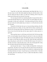 Giải pháp hoàn thiện chiến lược marketing cho công ty cổ phần xuất nhập khẩu và thương mại sông hương 