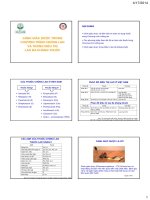 CẢNH GIÁC DƯỢC TRONG CHƯƠNG TRÌNH CHỐNG LAO VÀ TRONG ĐIỀU TRỊ LAO ĐA KHÁNG THUỐC