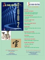 Sắc màu văn hóa 20 